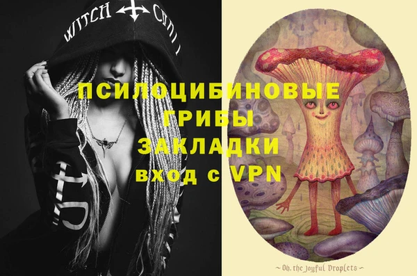 винт Алексеевка