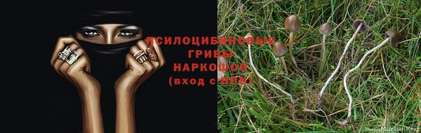 герыч Алзамай