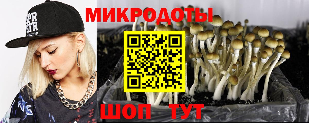 Боровичи  Галлюциногенные грибы мухоморы  Вход с VPN  Псилоцибиновые грибы Psilocybine cubensis 